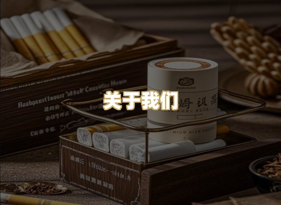 关于我们